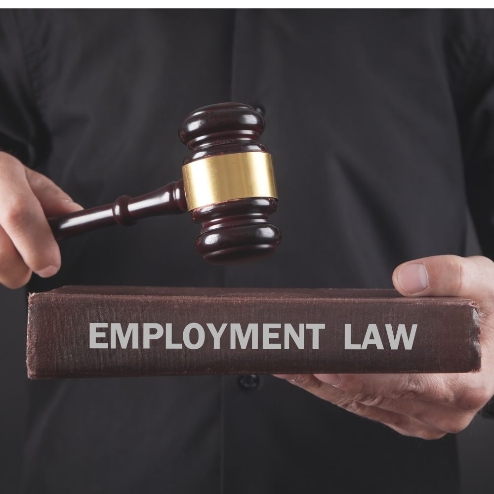 california employment law lawyer